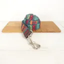 Dog Leash