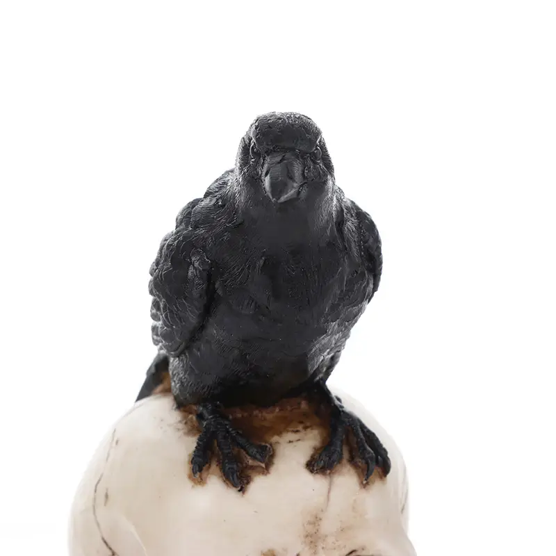 Crow Skull Model