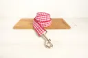 Dog Leash