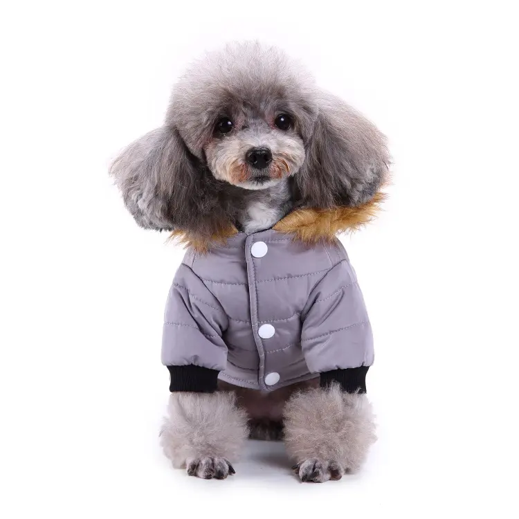 Winter Clothing for Pets