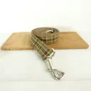 Dog Leash