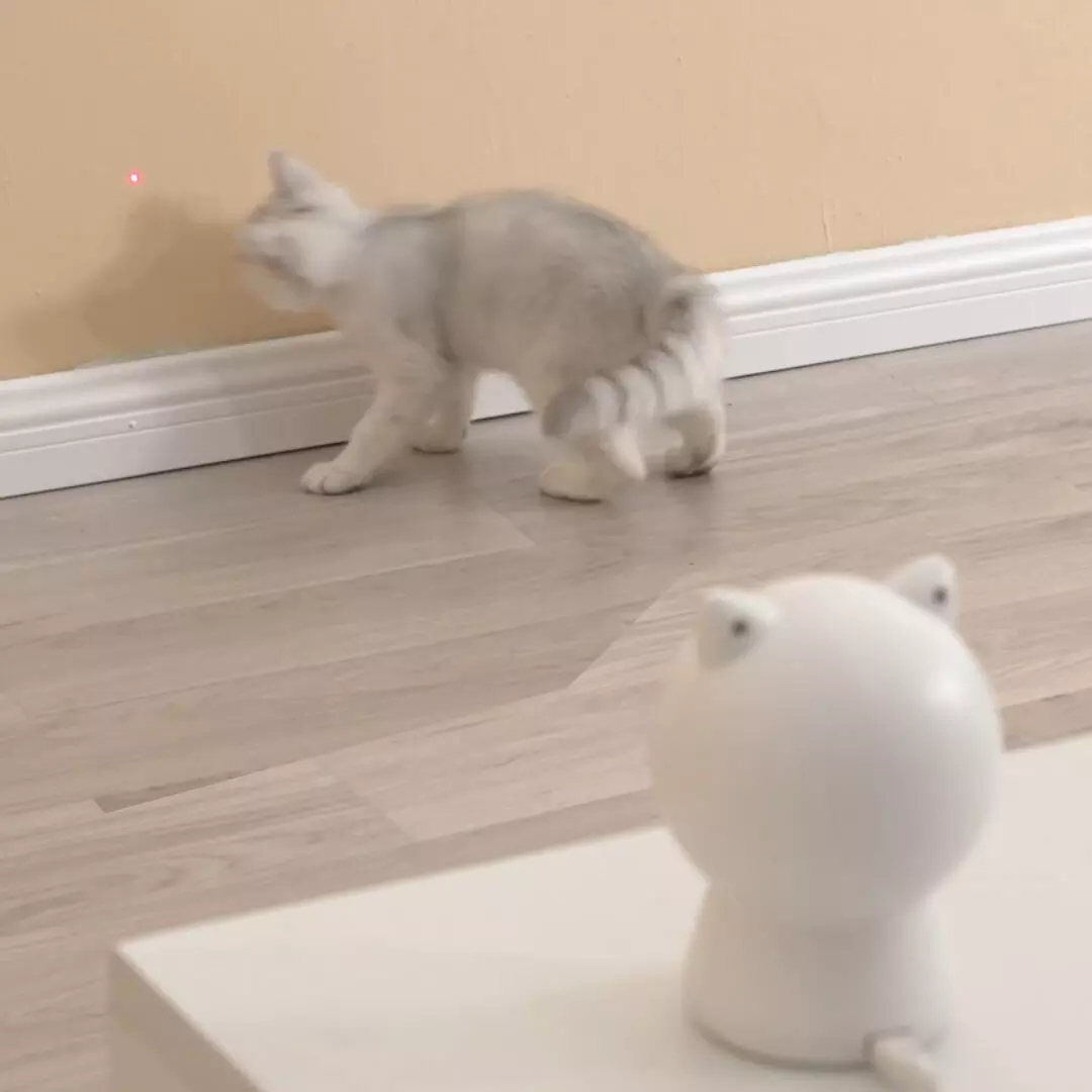 Smart red light cat toy — foto 3