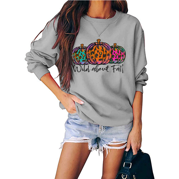 Round neck pullover loose long sleeves