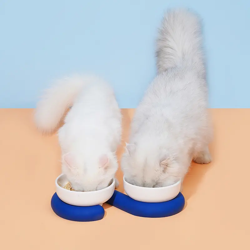 Protect the cervical spine dog bowl