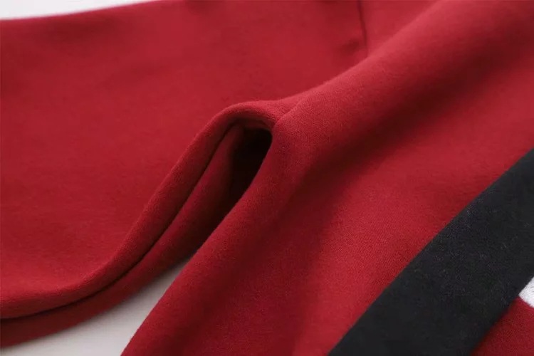 Panda embroidery plus velvet hooded sweater