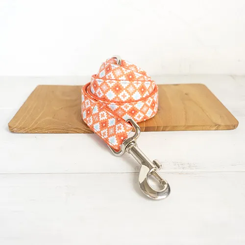 Orange Adventure Matching Collar And Leash Set Dog Leash - Shop at LoveMi