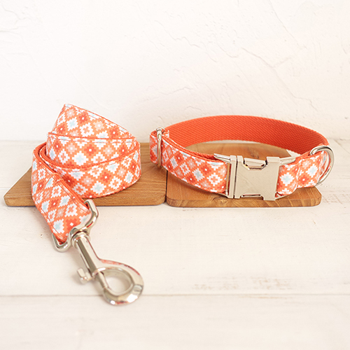 Dog Collar Leash Set