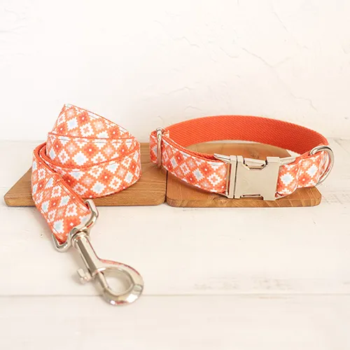 Orange Adventure Matching Collar And Leash Set Dog Collar Leash Set - Shop at LoveMi
