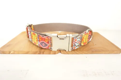 Funkadelic Matching Collar and Leash Set Dog Collar - Shop at LoveMi