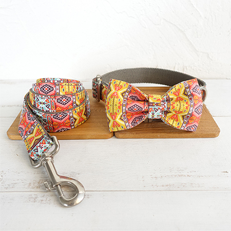 BowTie Collar Leash