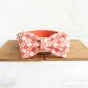 Dog Bowtie Collar