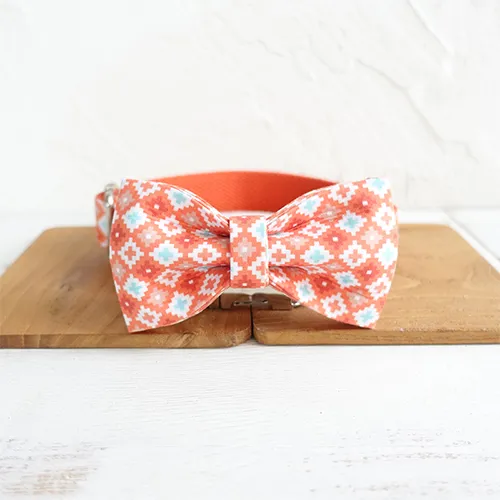 Orange Adventure Matching Collar And Leash Set Dog Bowtie Collar - Shop at LoveMi