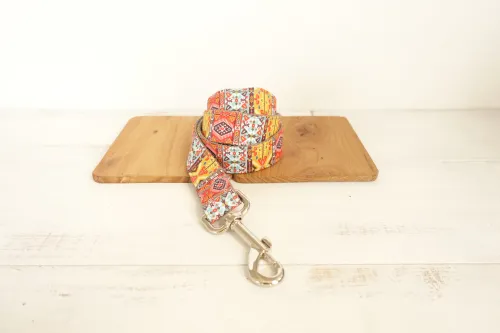 Funkadelic Matching Collar and Leash Set Dog Leash - Shop at LoveMi