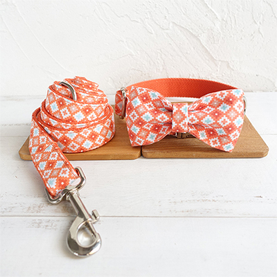 BowTie Collar Leash