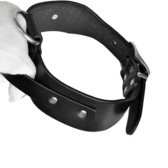 Large and medium sized dog collar adjustable pet collar Black - Shop at LoveMi