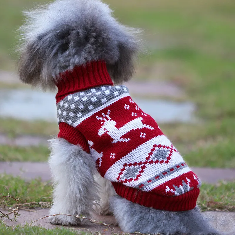 Dog clothes small dog corgi - Rose Red