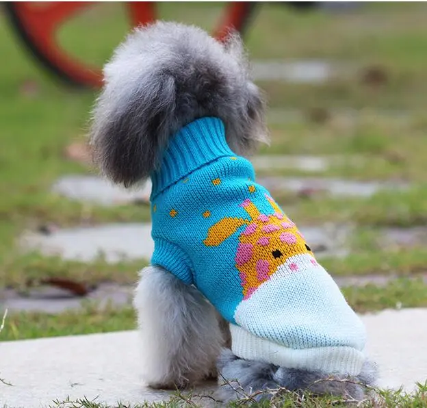 Dog clothes small dog corgi Blue - Shop at LoveMi