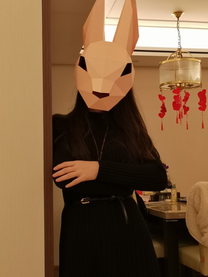 Halloween bunny face ornament (Rabbit)