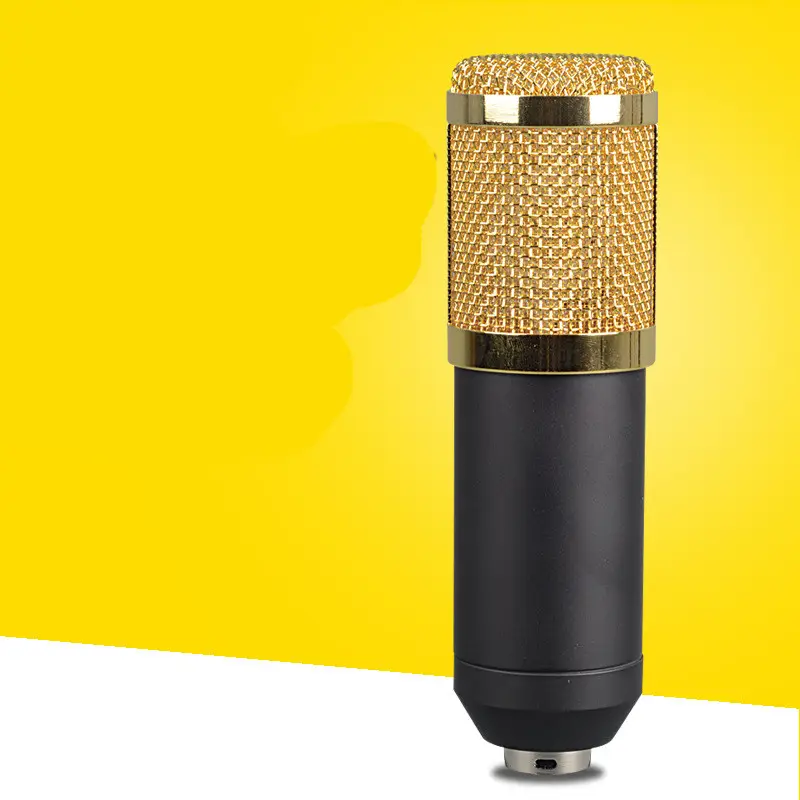Large-diaphragm Condenser Microphone
