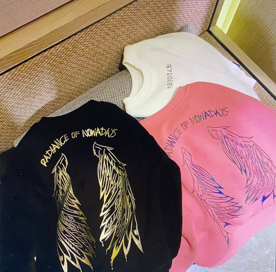 Wings boys autumn sweater