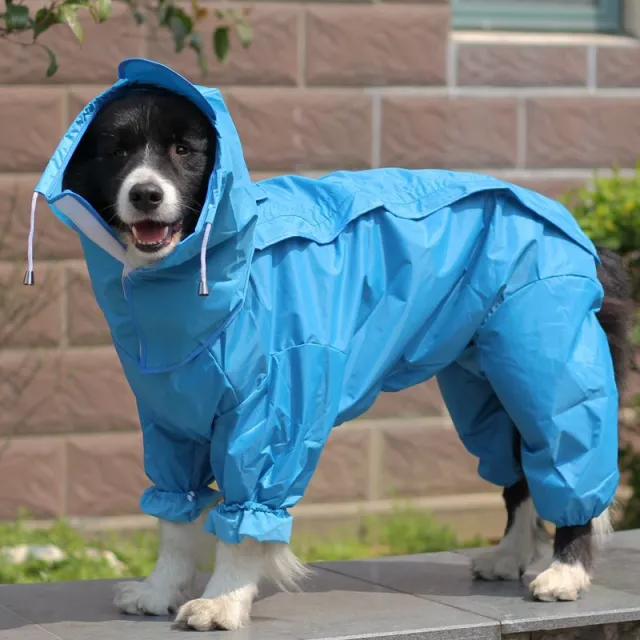 Four legged all inclusive pet waterproof clothes Blue - Shop at LoveMi