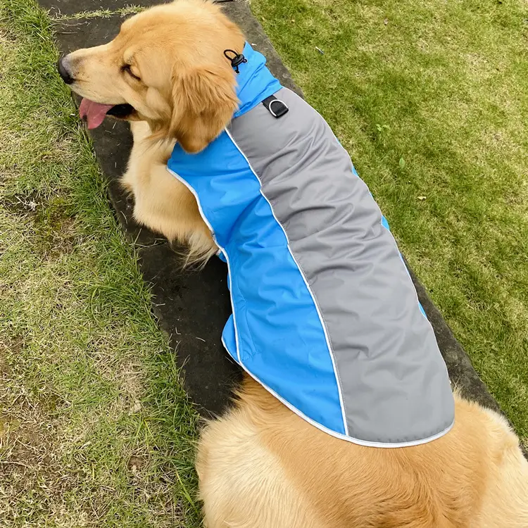 Pet Clothes Autumn And Winter Outdoor Sports Jackets