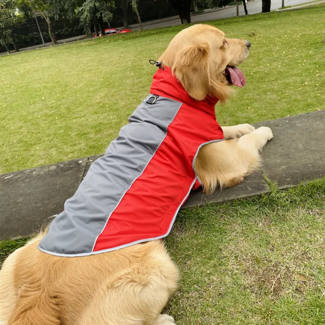 Pet Clothes Autumn And Winter Outdoor Sports Jackets Red - Shop at LoveMi