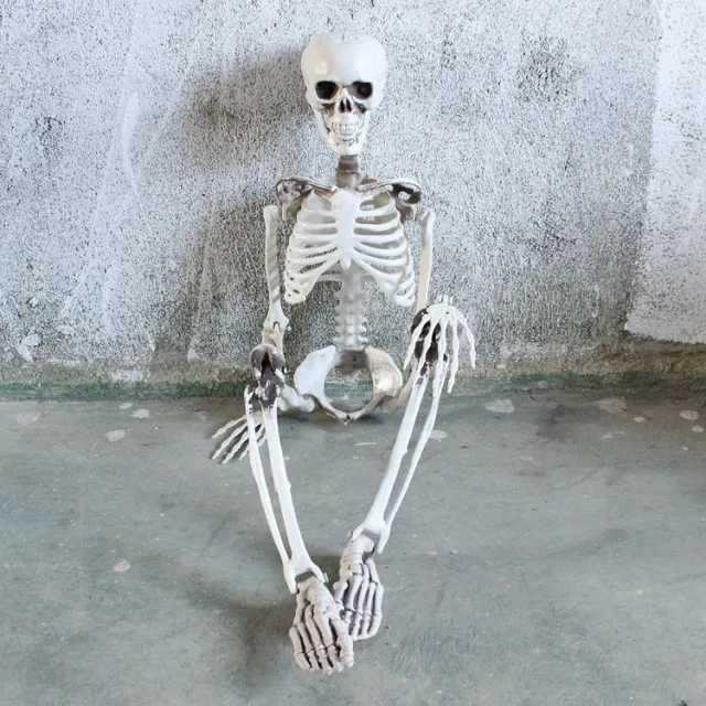 Halloween skull ornament Photo Color - Shop at LoveMi