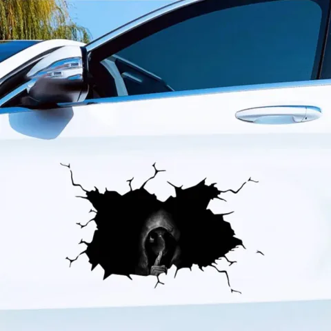 Car Body Sticker
