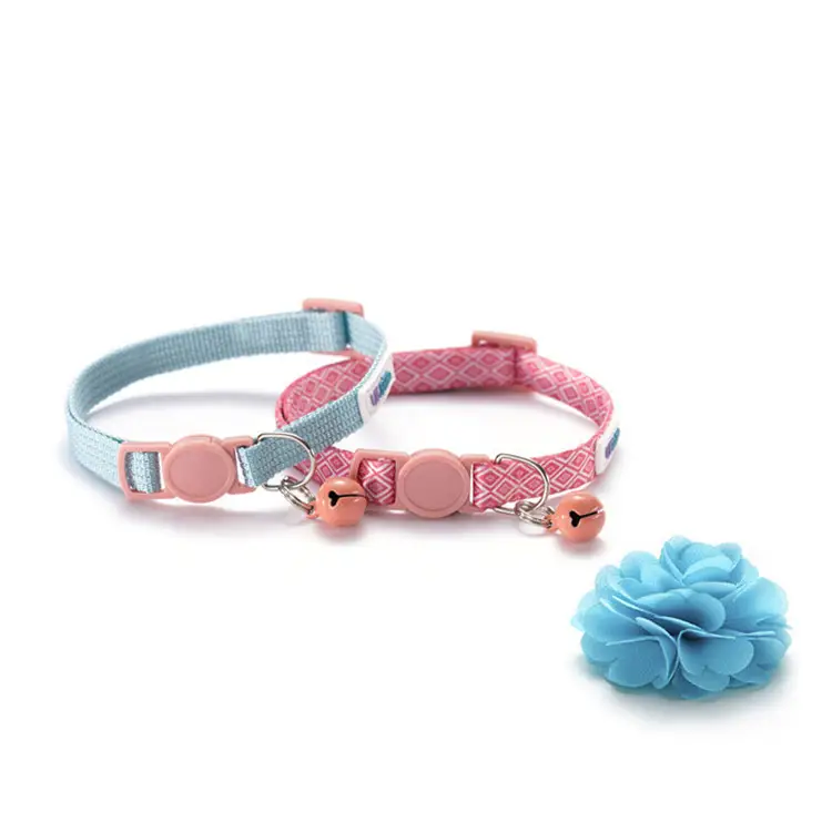Safety buckle color collar