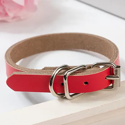 Leather dog collar dog chain - Red