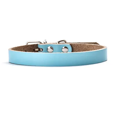 Leather dog collar dog chain - Sky Blue