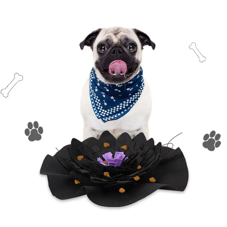 Pet sniffing pad