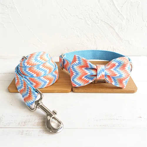 Money loop dog leash set portable dog running leash rope Orange Blue With Bow - Shop at LoveMi