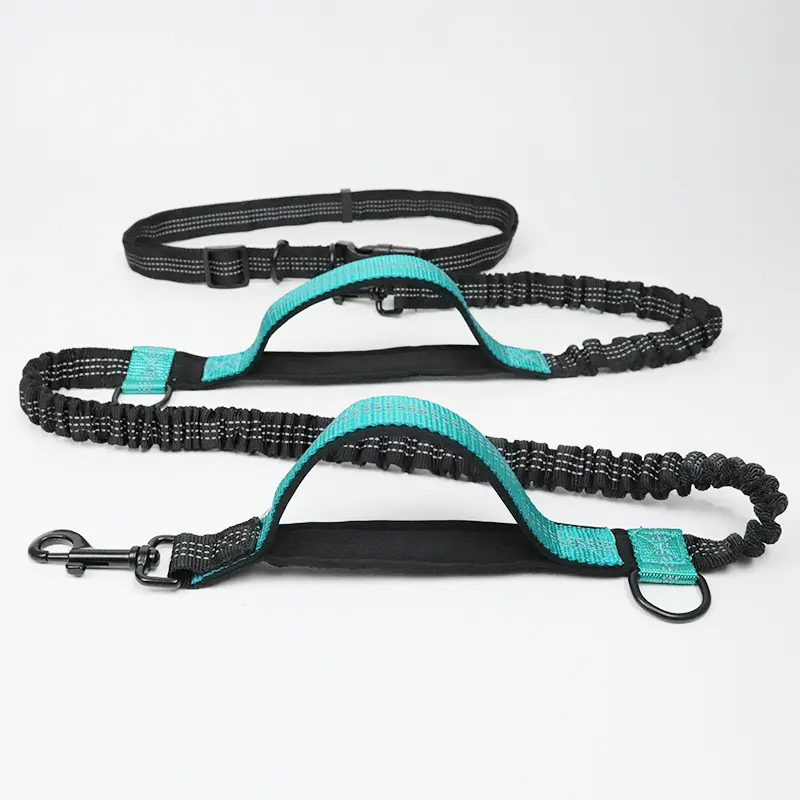 Amazon direct pet supplies multi-function running reflective