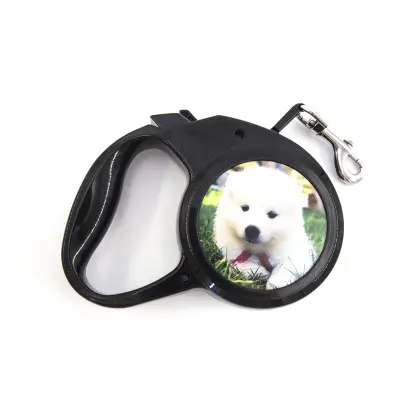 Personalized CustomAutomatic Retractable Dog Leash Puppy Walking