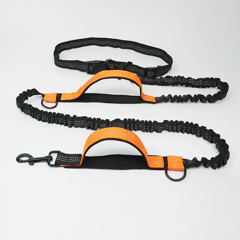 Amazon direct pet supplies multi-function running reflective