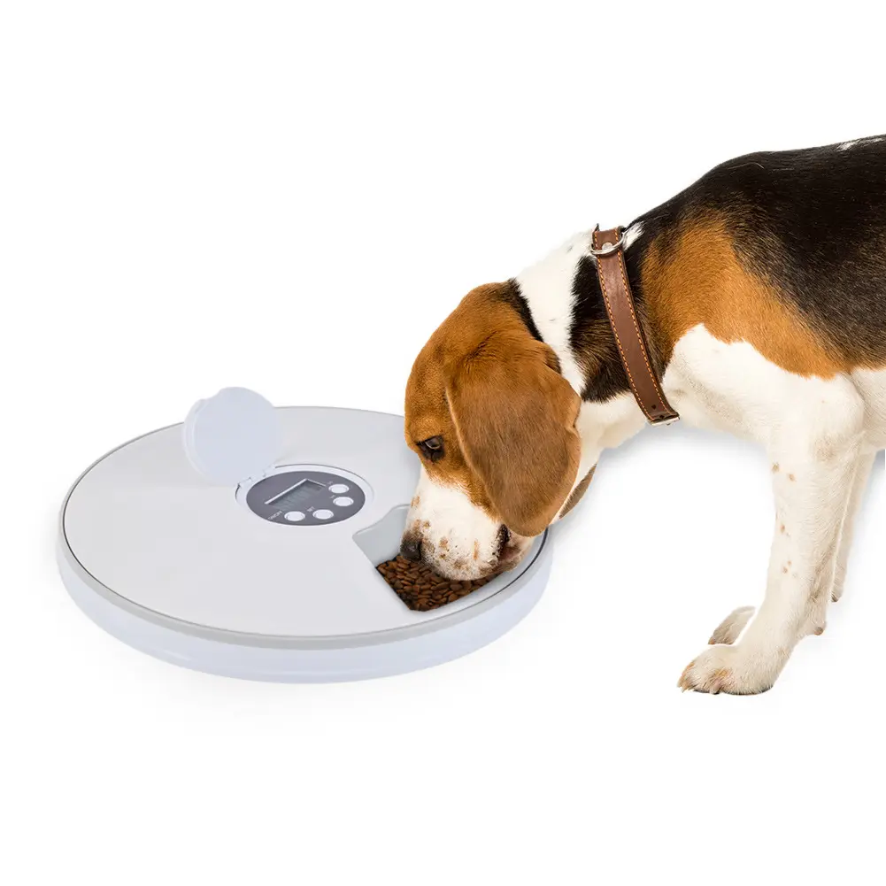 Six Grid Electric Timing Cat and Dog