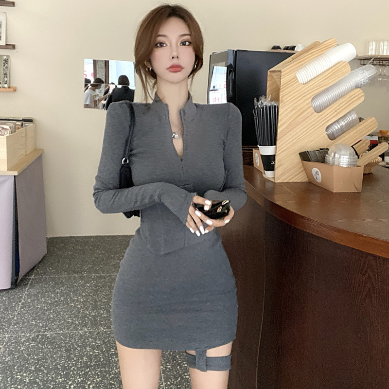 Polo Neck Zippered A-Line Hip-Hugging Dress