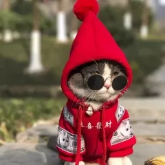 Pet Cat Dog Clothing Pure Cotton Plus Fleece Sweater - Red - View 1