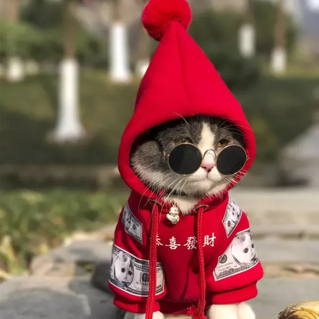 Pet Cat Dog Clothing Pure Cotton Plus Fleece Sweater Red - Shop at LoveMi