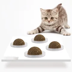 The Cat Vigorously Licks The Pet Cat Grass Ball - Catnip - View 1