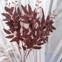 Brownish Red