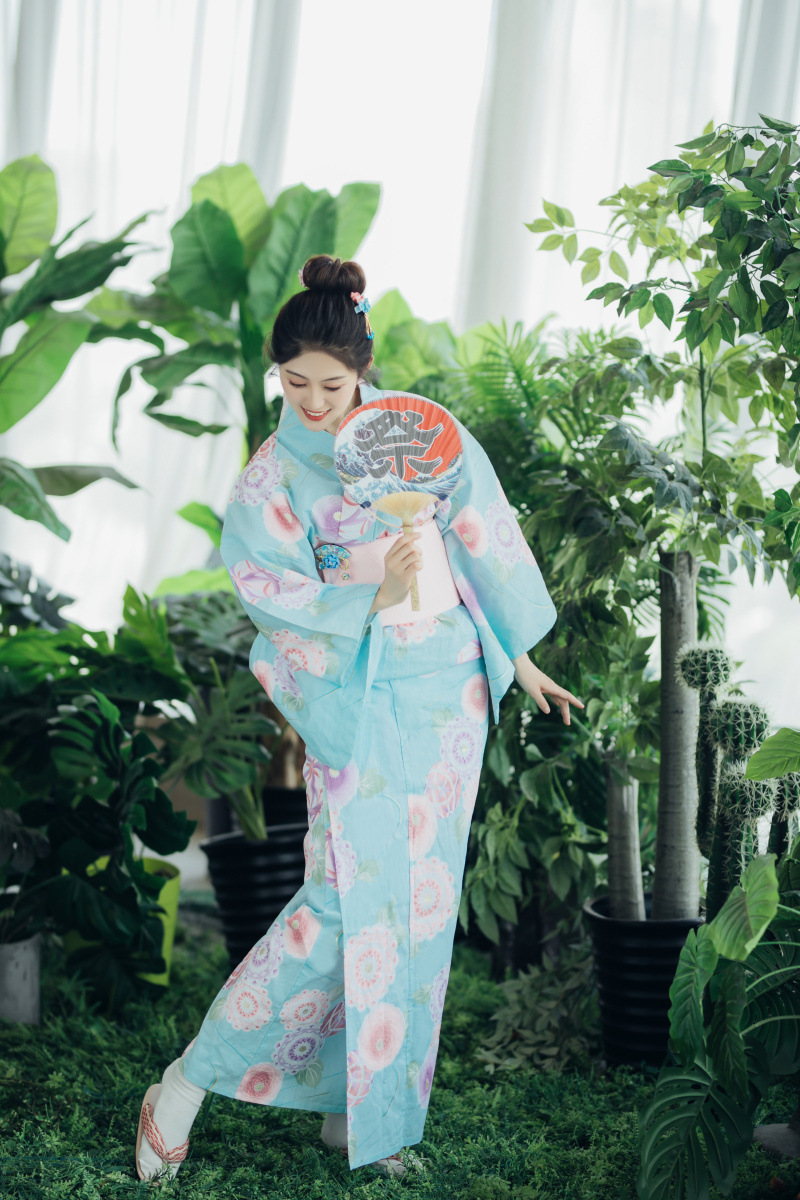 Japanese Kimono Female Komon Formal Dress Tradition