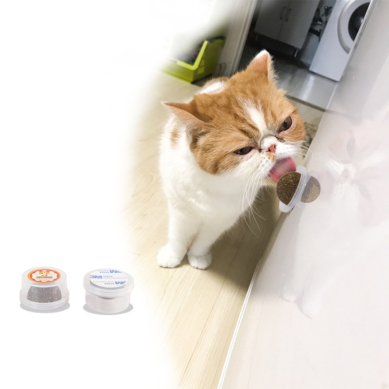 The Cat Vigorously Licks The Pet Cat Grass Ball — foto 5