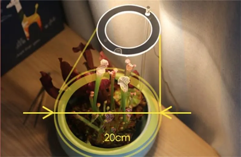 LED Grow Light Full Spectrum Phyto Grow Lamp USB Phyto Lamp for Plants Growth Lighting for Indoor Plant – image 8