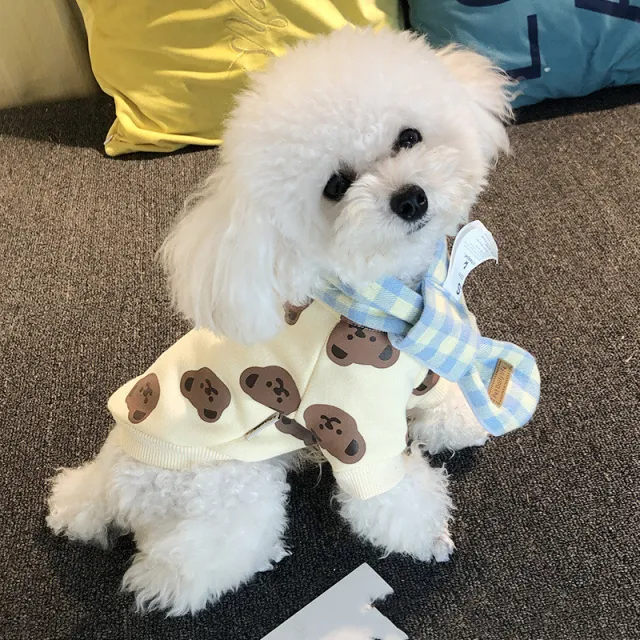 EBAERR Pet Plus Velvet Cute Bear Sweater Beige - Shop at LoveMi