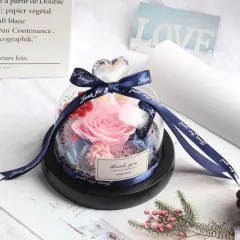 Valentine's Day Christmas Dried Flowers For Home Decor Wedding Gifts Dried Flowers Eternal Real Rose Home Decor With LED In Glass - Light Pink - View 1