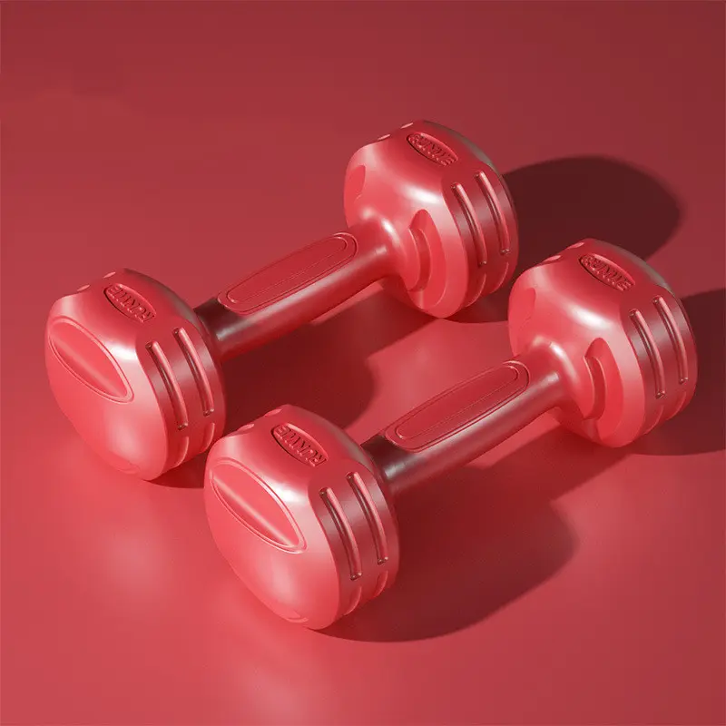 A Pair of Home Fitness Equipment Women Dumbbells