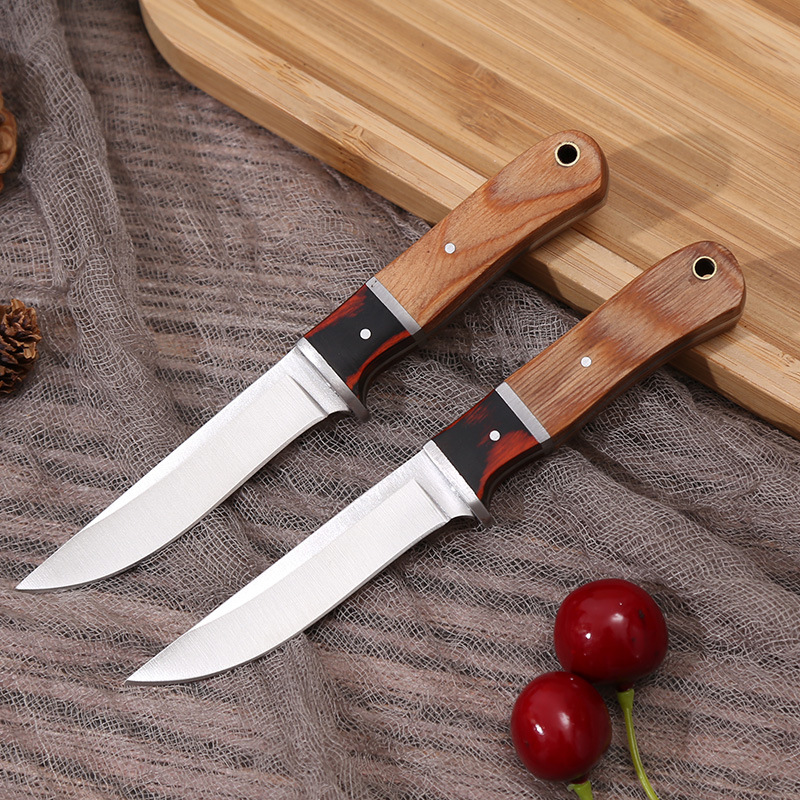 Multi-purpose Stainless Steel Fruit Knife